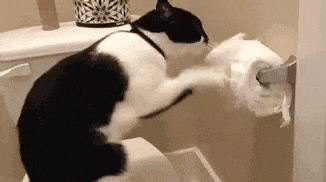 a black and white cat is sitting on a toilet playing with a roll of toilet paper .