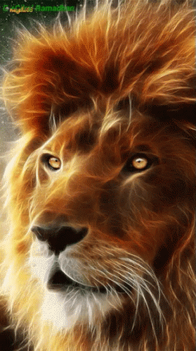 Lion Kingofthejungle GIF - Lion Kingofthejungle GIFs