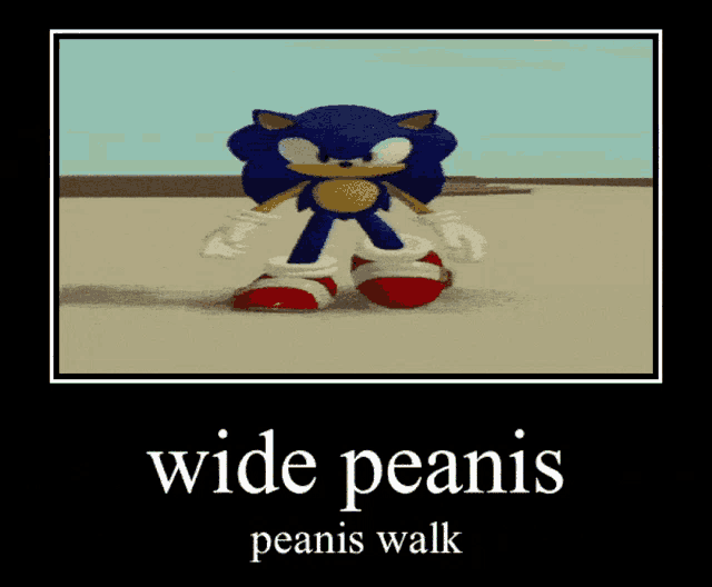 a poster of sonic the hedgehog with the words " wide peanis peanis walk "