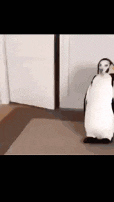 two stuffed penguins are standing next to each other on a rug in a room .