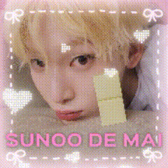 a picture of a person with the name sunoo de mai