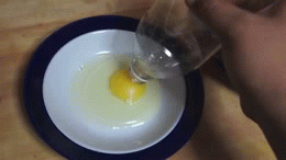 Separate Egg Yolks From Egg Whites Like Magic!! GIF - Diy GIFs