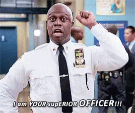 Holt I Am Your Superior Officer GIF