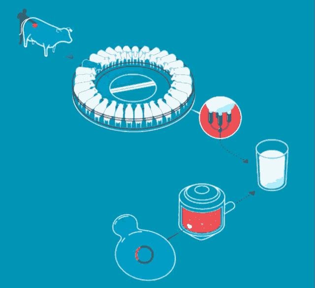 a drawing of a cow a stadium and a cup of milk on a blue background