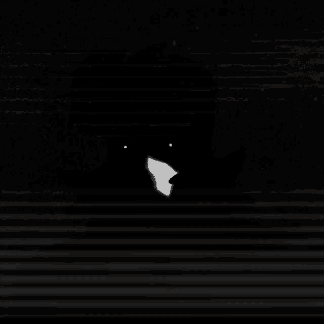 a black and white photo of a person 's face behind blinds