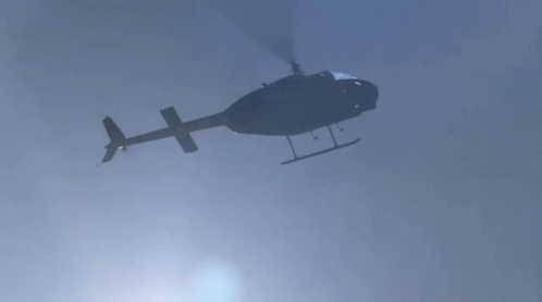 Commando Birds Flying GIF - Commando Birds Flying Soldiers GIFs