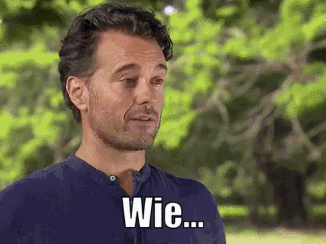 a man with a beard and a blue shirt is standing in front of trees and says wie .
