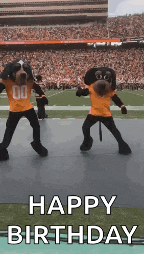 two mascots are dancing on a football field and the words happy birthday are written below them