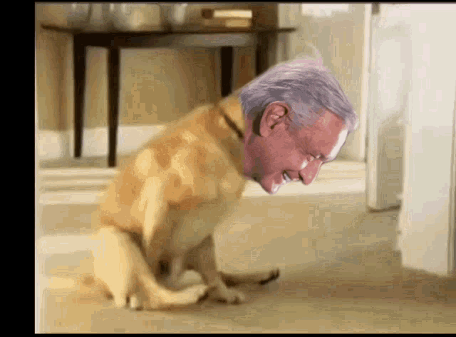a dog with a man 's head sticking out of it 's mouth