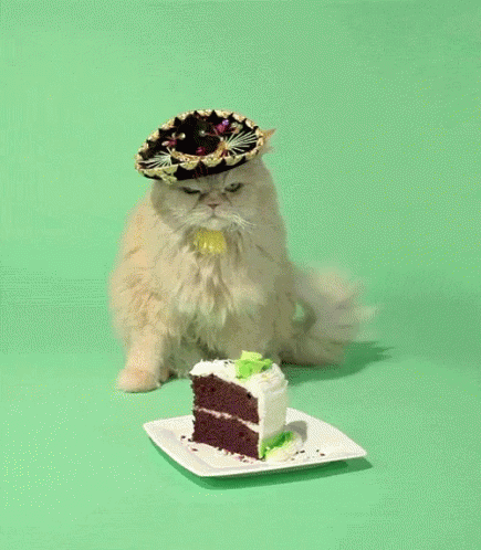 Birthday Cat GIF