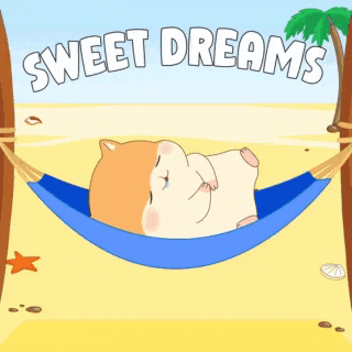 a hamster is sleeping in a hammock on the beach and the words sweet dreams are above it .