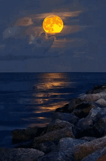 a full moon rises over the ocean with a rocky shoreline in the foreground