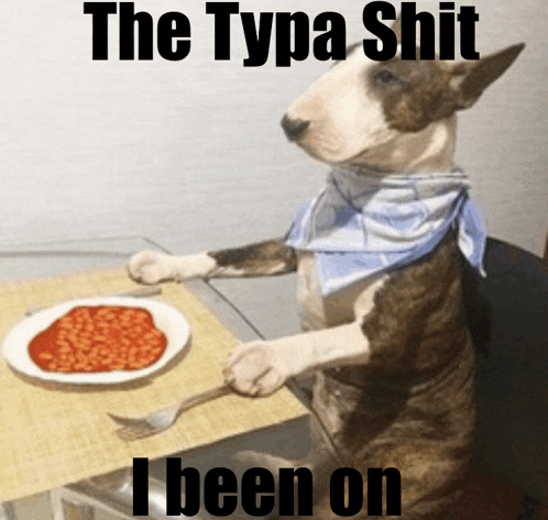 a bull terrier is sitting at a table with a plate of baked beans on it