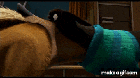 a dog wearing a blue sweater is being brushed by another dog .