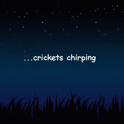 Crickets Chirping Silence GIF - Crickets Chirping Silence Goodnight GIFs