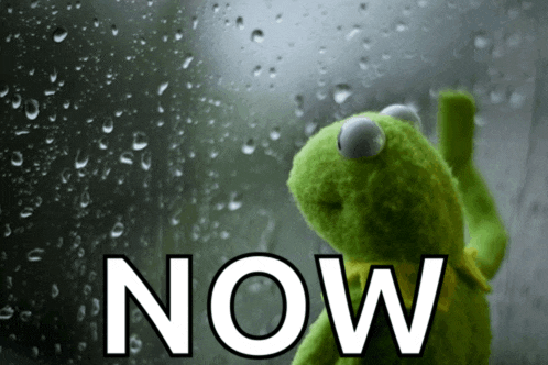 kermit the frog is looking out of a window with the word now written on it