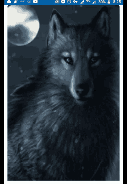 Lobo Fox GIF - Lobo Fox Wolf GIFs
