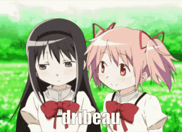 two anime girls are standing next to each other with the words " dribeau " on the bottom right