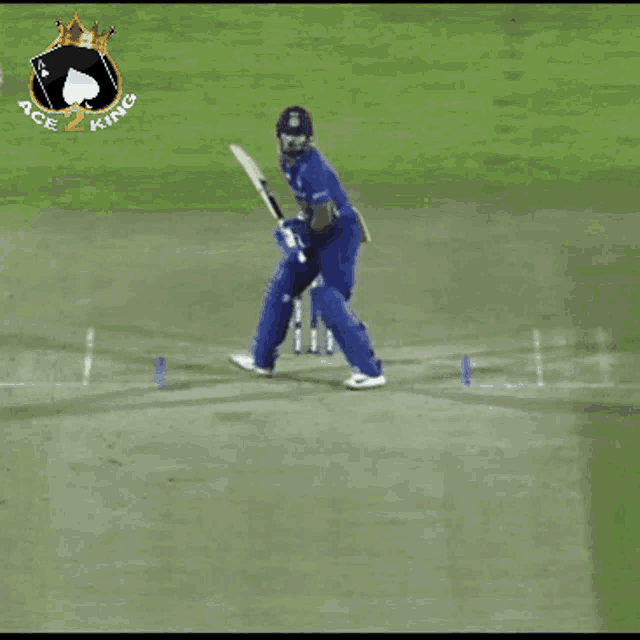 Ace2king Cricket GIF - Ace2king Cricket Crickets GIFs