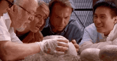 a group of people are looking at a fossil in a museum .