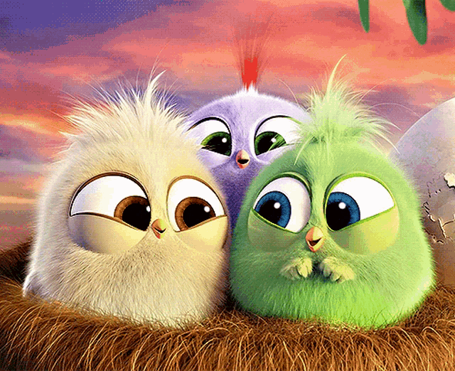 three cartoon birds are sitting in a nest