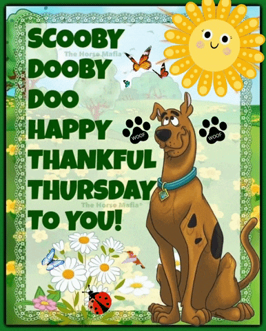scooby doo happy thankful thursday to you with a picture of scooby doo