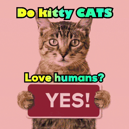a purple cat is holding a sign that says yes