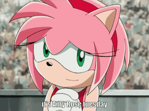 amy rose says it 's amy rose tuesday