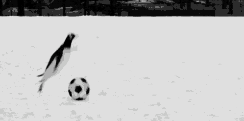 a penguin is kicking a soccer ball on a snowy field .