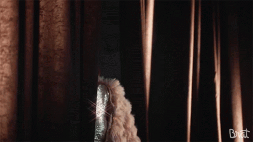 Nervous Looking GIF - Nervous Looking Scared GIFs