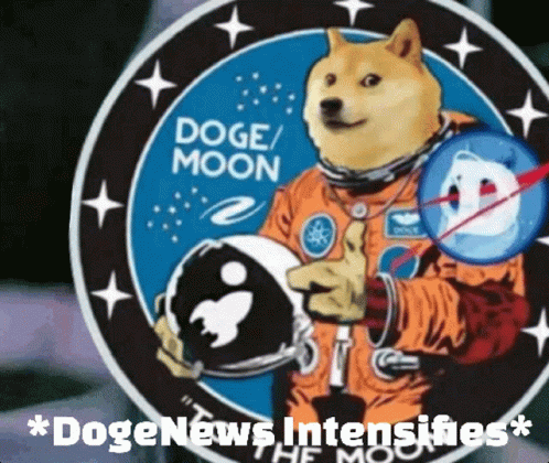 Dogenews Intensifies Dogenewsca GIF - Dogenews Intensifies Dogenewsca Tylermilgate GIFs