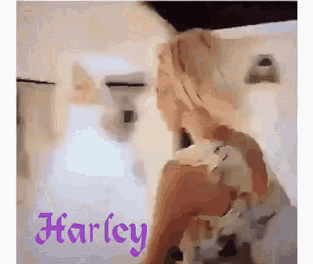 Blonde Harley GIF - Blonde Harley Moment GIFs