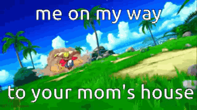a picture of a video game scene with the words `` me on my way to your mom 's house ''
