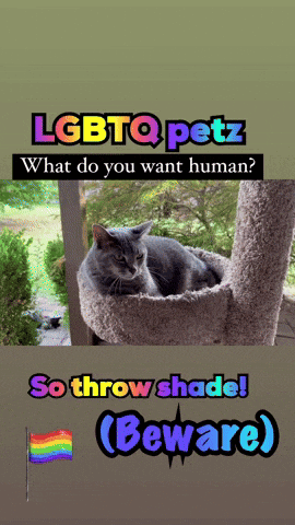 lgbtq petz what do you want human? so throw shade beware