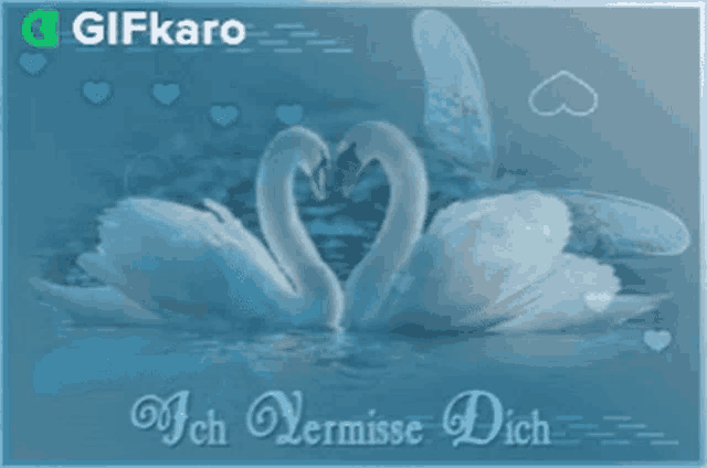 a picture of two swans making a heart with their beaks and the words ich vermisse dich