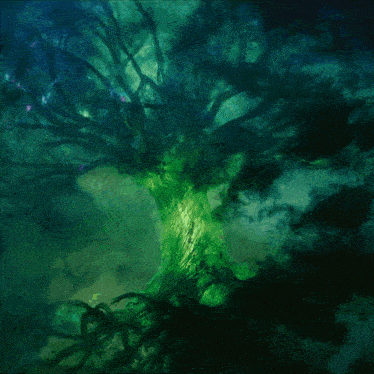 Yggdrasil Loki GIF - Yggdrasil Loki Tree GIFs