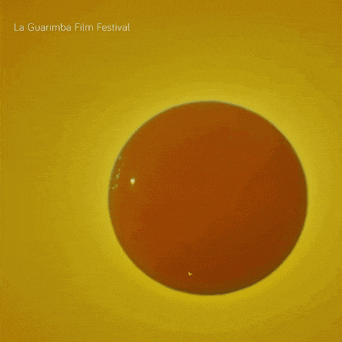 a close up of an egg with la guarimba film festival written on the bottom right
