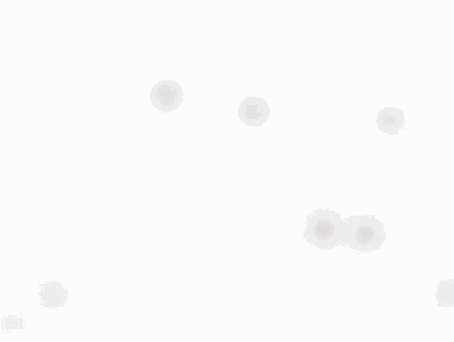 a girl with a cat ear hood holds her finger to her lips