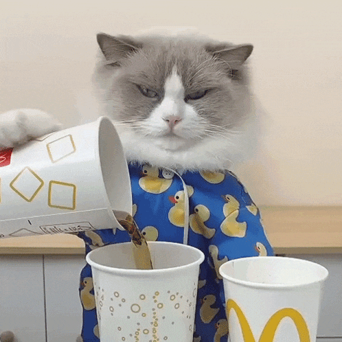 Pouring A Drink Puff GIF - Pouring A Drink Puff Meow Chef GIFs