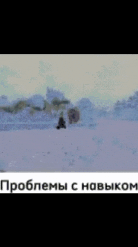 a picture of a person in the snow with a caption in russian that says problems