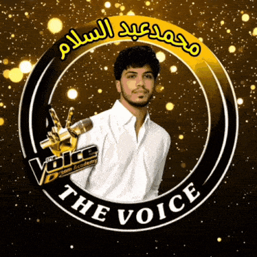 a logo for the voice dream academy shows a young man holding a microphone