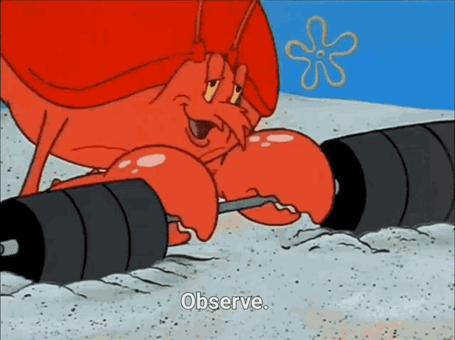 a cartoon of a lobster lifting a barbell says observe