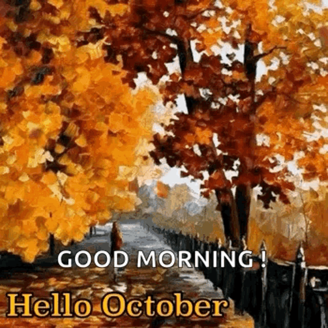Hello October GIF - Hello October Autumn GIFs