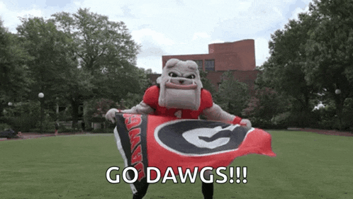 a bulldog mascot is holding a flag and says go dawgs !!!