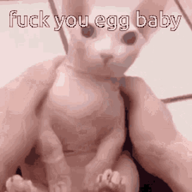 a person is holding a cat that looks like a baby and says `` fuck you egg baby '' .