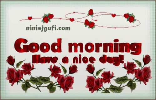 Good Morning Roses GIF - Good Morning Roses Red GIFs