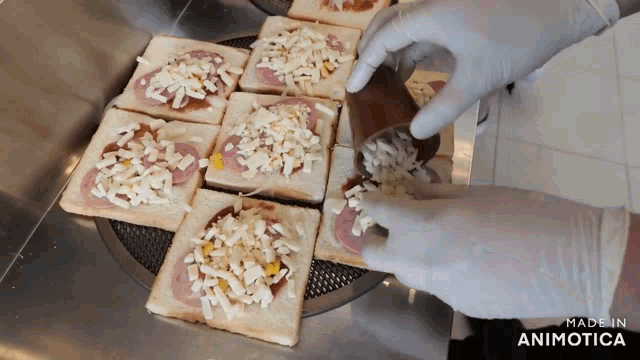 a person is making a pizza with the words made in animatica at the bottom