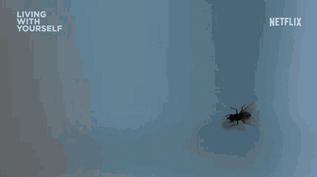 Fly Smack GIF - Fly Smack Get Out Of Here GIFs