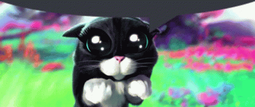 Puss In Boots The Last Wish GIF - Puss In Boots The Last Wish Kitty Softpaws GIFs