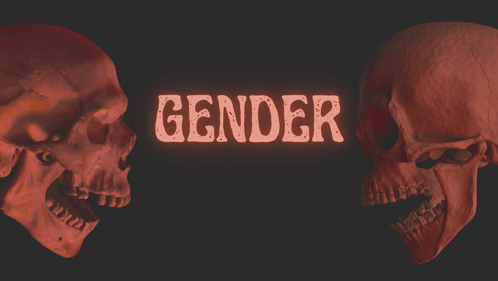 Roles Gender GIF - Roles Gender GIFs